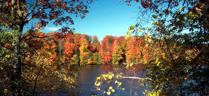 Twin Lakes Park (Gilbert Lodge) - Web Listing